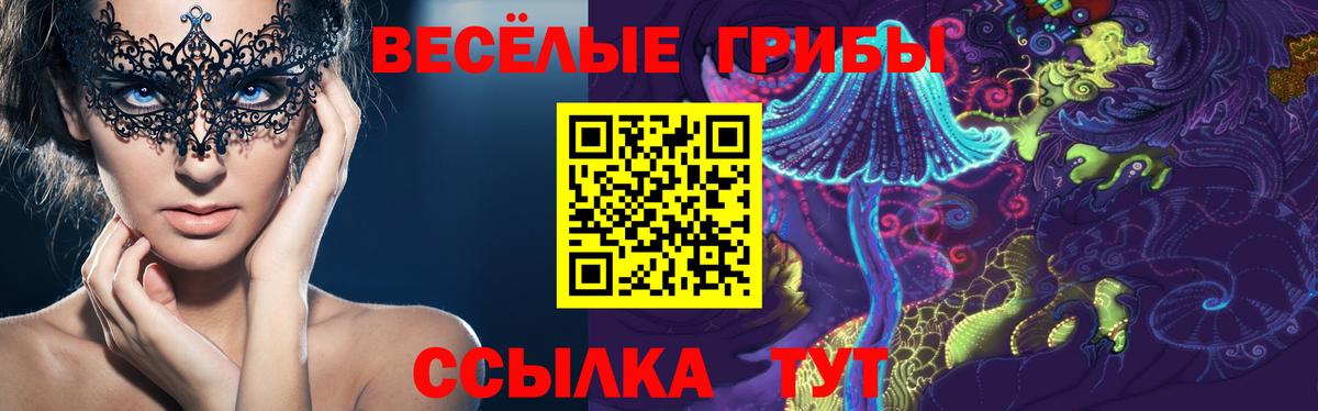 Галлюциногенные грибы прущие грибы Орёл